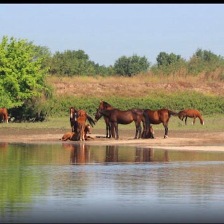 River Sun Valada المظهر الخارجي الصورة